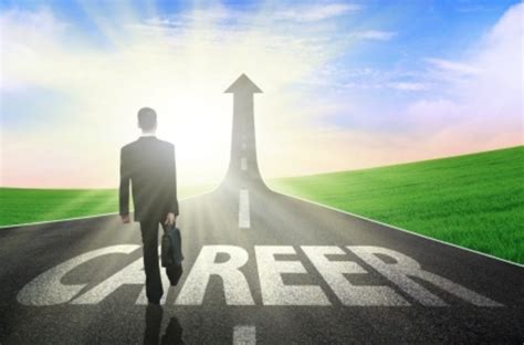 Career Path and Successes of the Accomplished Individual