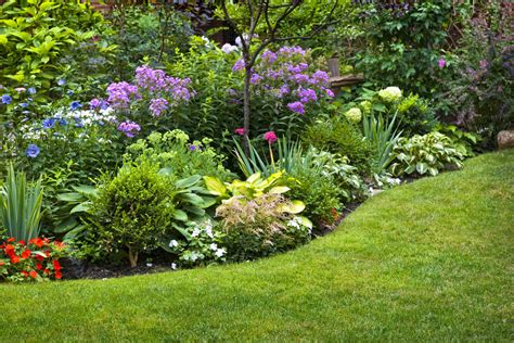 Caring for Your Beautiful Garden: Essential Maintenance Tips