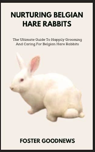 Caring for Your Ivory Hare: The Essential Guide to Proper Nutrition, Grooming, and Exercise