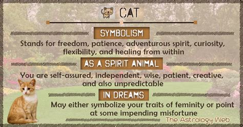 Cat Heads in Dreams: A Guide to Symbolism