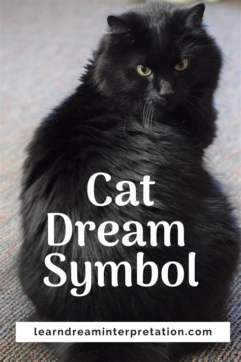 Cats in Dreams: Decoding Their Symbolism