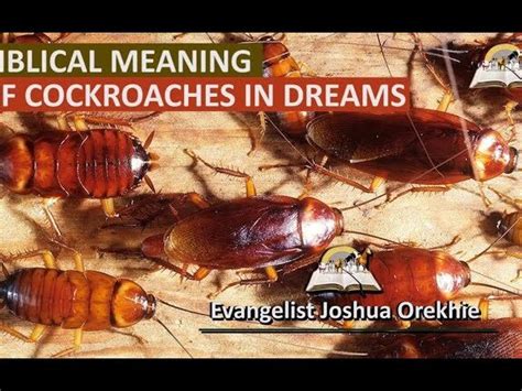 Causes and Triggers: Exploring the Origins of Roach-Filled Dreams