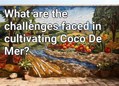 Challenges Faced by Coco Brazil