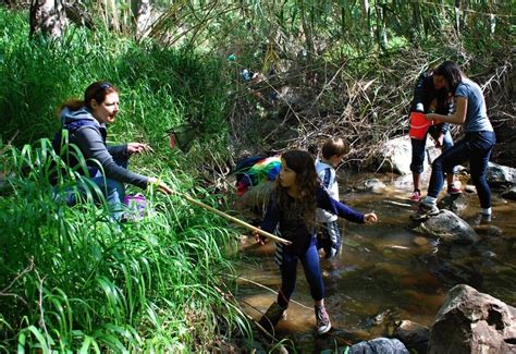 Choosing the Ideal Location for Crawfish Hunting