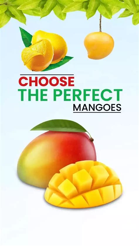 Choosing the Ideal Mango at the Market: Handy Pointers