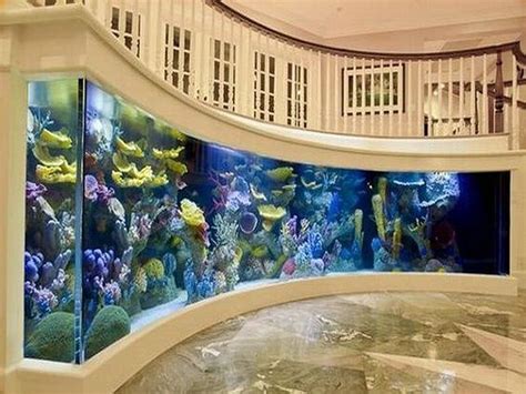 Choosing the Perfect Location for Your Stunning Aquarium