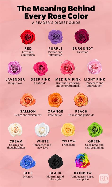 Choosing the Right Shade of Rose