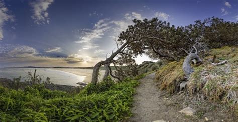 Coastal Walks: Discovering Peace and Solitude