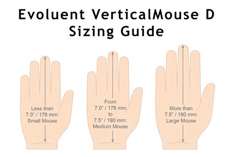 Colette Fist's Vertical Measurement?