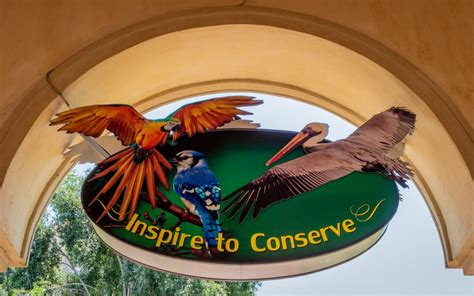 Collaborating with Conservation Organizations to Support Avian Wildlife