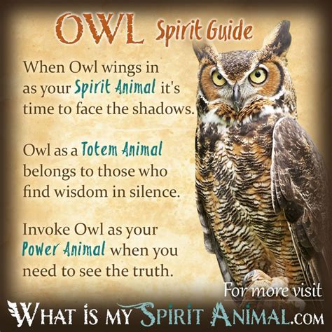 Common Meanings Associated with the Symbolic Presence of an Owl in your Dream