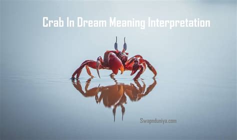 Common Scenarios Involving Crabs in Dreams and their Interpretation