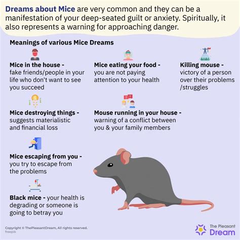Common Scenarios and Emotions Linked to Mouse Dreams