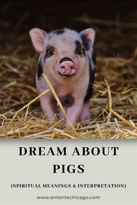 Common Themes in Large Wild Pig Dreams