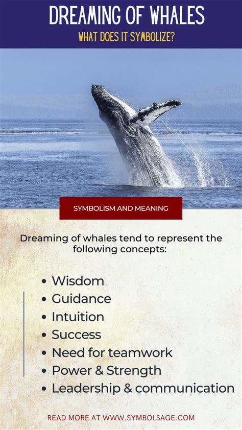 Common Themes in Whale Dreams