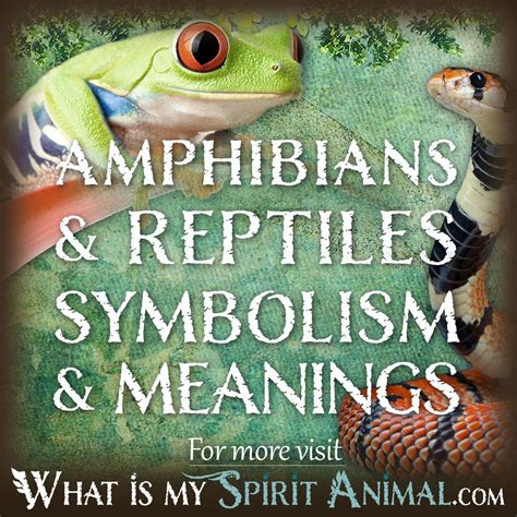 Comparing the Symbolic Meaning of Amphibious Creatures and Reptiles in Dream Interpretation