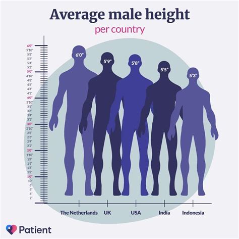 Comparison to average height statistics