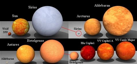 Comparison with Other Popular Stars