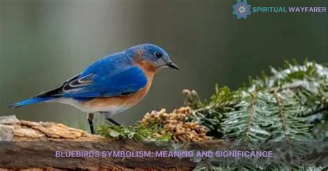 Connecting Baby Bluebirds to Hope and Renewal