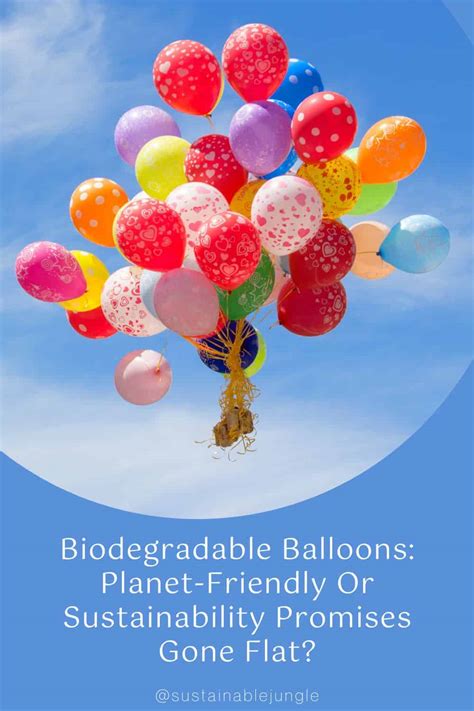 Connecting with Nature: Eco-friendly Considerations for Releasing Balloons