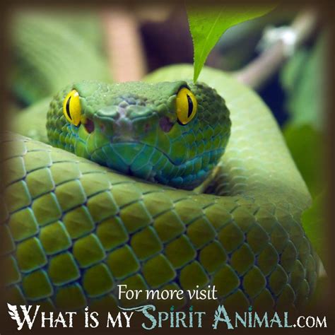 Connecting with the Spirit of a Reincarnated Reptile in a Vivid Dream