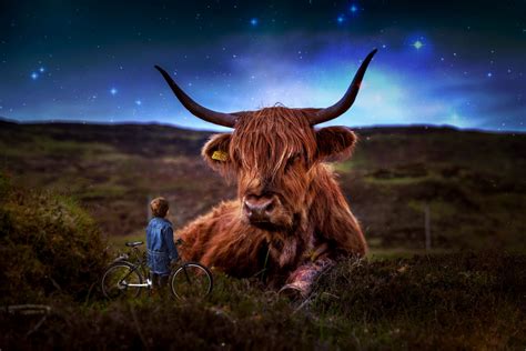 Connection to Dreams: Exploring the Cow's Presence in Nocturnal Fantasies