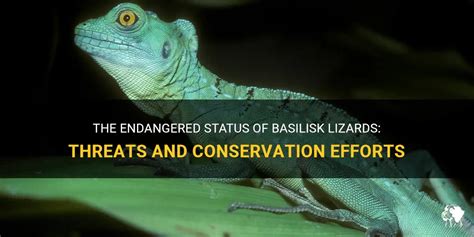 Conservation Efforts for the Endangered Soaring Lizard Species