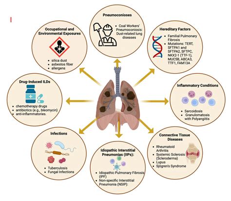 Contributing Factors to Respiratory Conditions