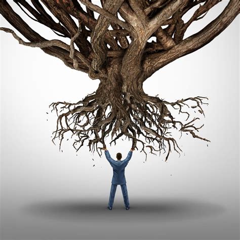 Coping Strategies for Dealing with the Symbolic Dream of Tree Uprooting