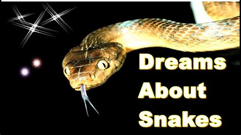 Cracking the Code: Interpreting Snake Dreams on Yahoo