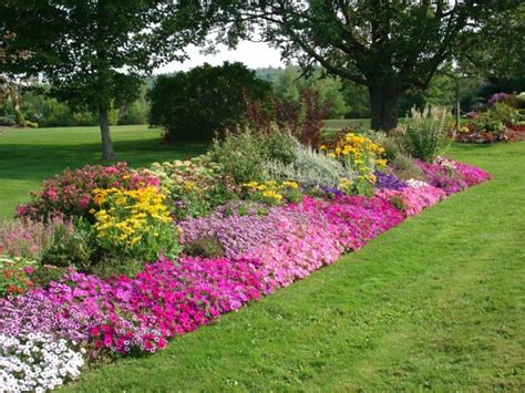 Creating Vibrant and Textured Flower Beds