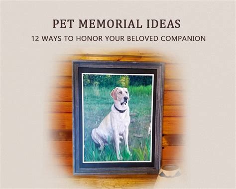 Creating a Personal Memorial: Honoring Your Beloved Companion's Memory