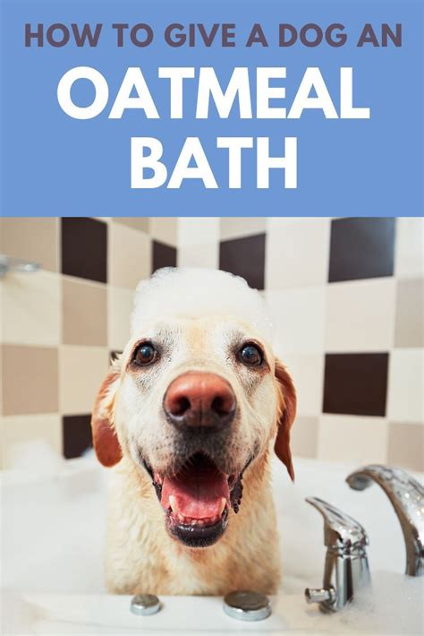 Creating a Soothing Bath Routine for Your Canine Companion
