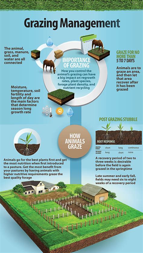 Creating a Sustainable Environment for Optimal Pasture Management