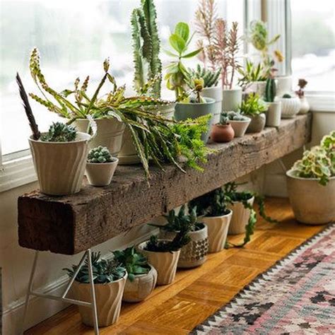 Creative Display Ideas: Transform Your Space with Unique Indoor Plant Arrangements