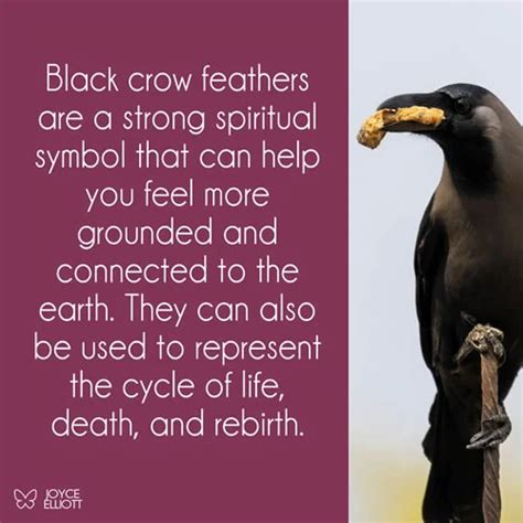 Crow Feathers as Envoys from the Spirit Realm