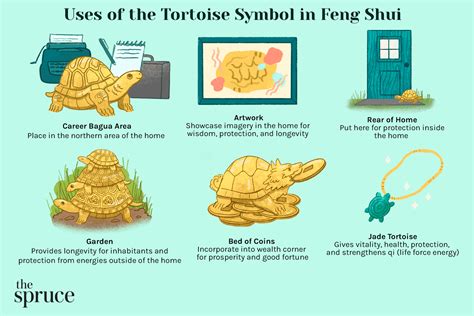 Cultural Perceptions and Symbolism Associated with Tortoises devoid of Shells