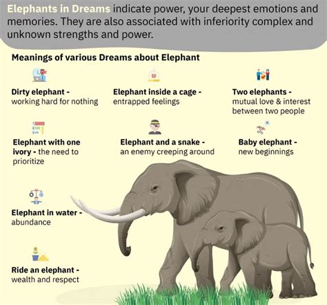 Cultural Perspectives on Dreaming of Baby Elephants: From India to Africa