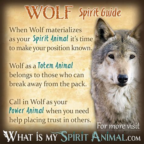 Cultural Representations of Wolf Symbolism: Exploring Different Interpretations around the World