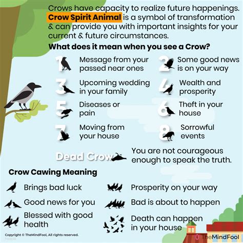 Cultural Significance of Crows in Various Societies