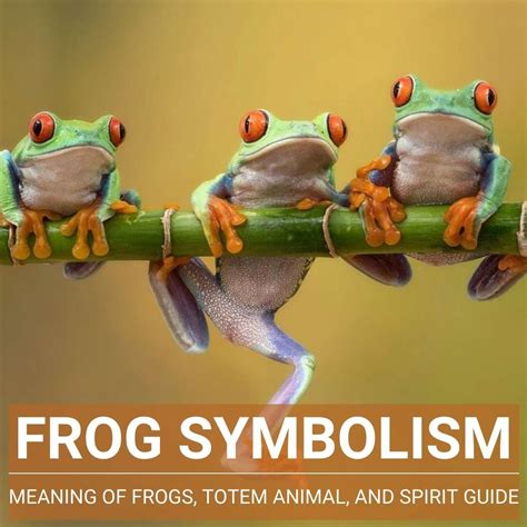 Cultural Symbolism: Frogs as Omens and Metaphors