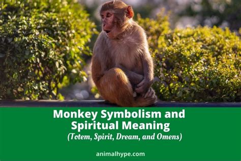 Cultural Variations: Fierce Monkey Symbolism Across Different Cultures