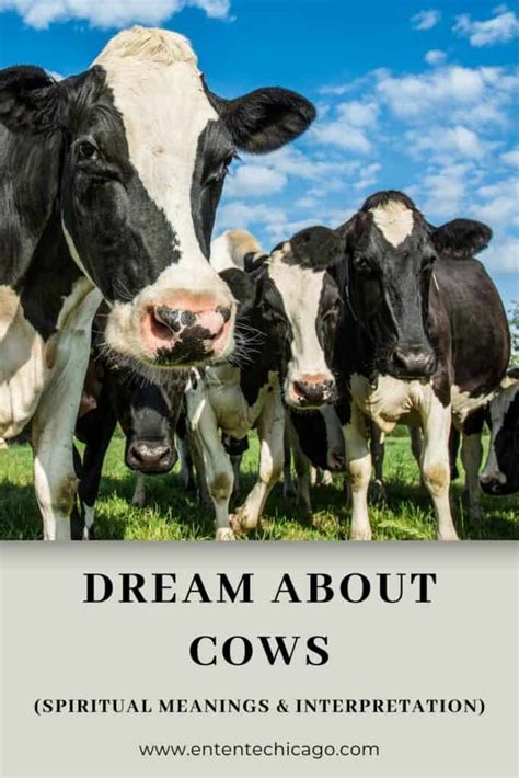 Cultural and Historical Perspectives on Cows and Dream Interpretation