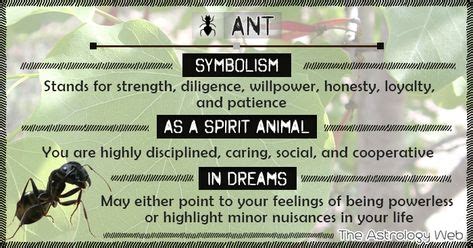 Cultural and Historical References to Ants in Symbolic Interpretations