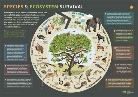 Cultural and Historical Significance of Minuscule Pale Terrestrial Organisms in Subconscious Experiences