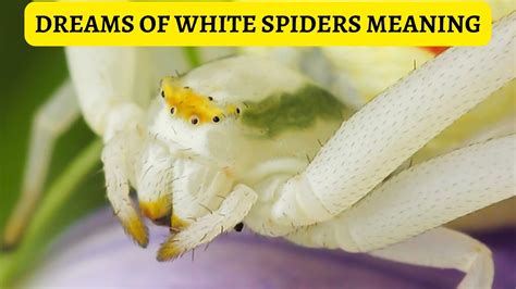 Cultural and Mythological References: Symbolic Meaning of White Spiders in Dreams