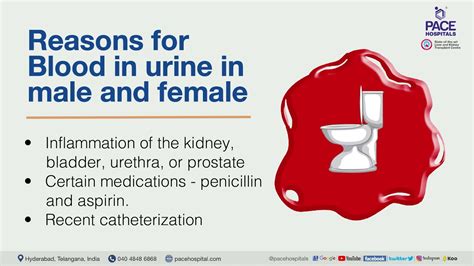 Dangerous Indications: Urinating Blood