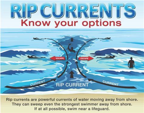 Dealing with Currents: How to Swim Safely in Murky Environments