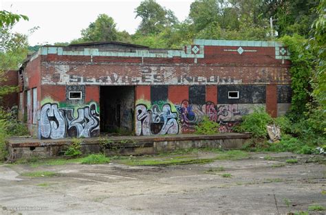 Deciphering the Cryptic Charm of Abandoned Urban Centers