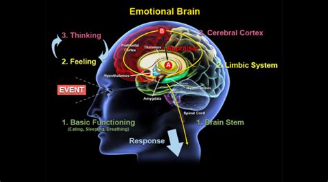 Deciphering the Emotional Impact of the Dream